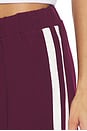 view 6 of 6 Tammy Tailored Trouser in Burgundy
