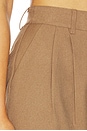 view 6 of 6 PANTALON STANLIE in Taupe