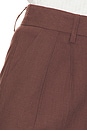 view 6 of 6 Lennie Trouser in Brown
