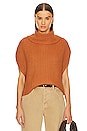 view 1 of 4 Cate Sleeveless Turtleneck Sweater in Toasted Almond