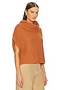 view 2 of 4 Cate Sleeveless Turtleneck Sweater in Toasted Almond