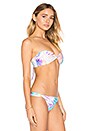 view 2 of 4 TOP BIKINI BLANCA in Royal Palm