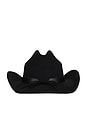 view 3 of 3 Faux Suede Juniper Cowboy Hat in Black