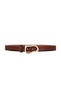 view 1 of 3 Mustang Belt in Brown