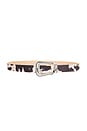 view 1 of 3 Single Buckle Belt in Taupe & Brown