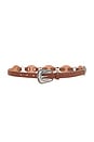 view 1 of 3 Single Buckle Belt in Dark Cognac