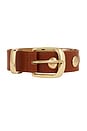 view 3 of 3 Faux Leather Belt in Brown
