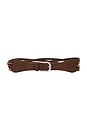 view 1 of 3 Suedette Studded Belt in Dark Brown