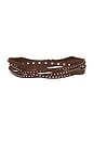 view 2 of 3 Suedette Studded Belt in Dark Brown