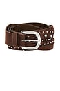 view 3 of 3 Suedette Studded Belt in Dark Brown