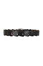 view 2 of 3 Gia Belt in Pony