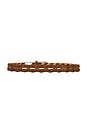 view 2 of 3 Lola Braided Belt in Brown