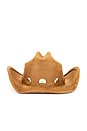 view 2 of 4 Coastal Cowboy Hat in Gold & Brown