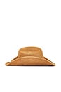 view 4 of 4 Coastal Cowboy Hat in Gold & Brown