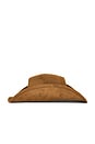 view 3 of 3 Dixie Cowboy Hat in Brown