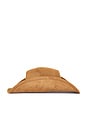 view 4 of 4 Dixie Cowboy Hat in Brown