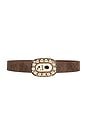 view 1 of 3 Faux Nappa Belt in Brown