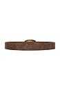 view 2 of 3 Faux Nappa Belt in Brown