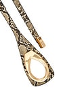 view 2 of 2 Snake Belt With Gold Hardware in Snake