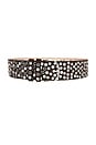 view 1 of 3 Studded Brown Suede Belt With Mixed Metal Grommets in Dark Brown