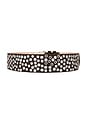 view 2 of 3 Studded Brown Suede Belt With Mixed Metal Grommets in Dark Brown