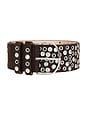 view 3 of 3 Studded Brown Suede Belt With Mixed Metal Grommets in Dark Brown