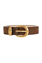 view 3 of 3 Suede Belt With Gold Hardware in Brown Suede