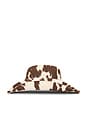 view 4 of 5 Cow Print Cowboy Hat in Brown