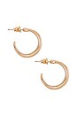 view 2 of 2 Aidan Earring in Gold