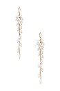 view 1 of 2 Pearl Cluster Drop Earring in Gold