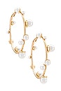 view 1 of 3 BOUCLES D'OREILLES PERLE in Gold