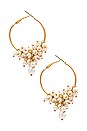 view 2 of 3 PENDIENTES DE ARO PEARL in Gold