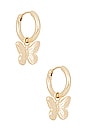 view 1 of 3 Butterfly Hoops in Gold