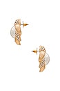 view 2 of 2 Pearl Stud Combo Earring in Pearl & Gold