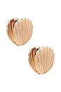 view 1 of 3 Shell Earring in Gold