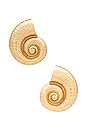 view 1 of 2 Shell Earring in Gold