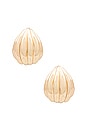 view 1 of 2 Shell Hoop Earrings in Gold