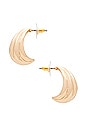 view 2 of 2 Shell Hoop Earrings in Gold