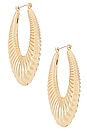 view 1 of 3 Collins Hoop Earrings in Gold