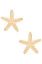 view 1 of 2 Aqua Starfish Stud Earrings in Gold
