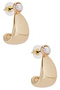 view 1 of 3 Campbell Drop Earrings in Gold