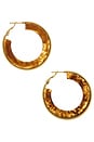view 2 of 3 Resin Hoop Earrings in Tortoise