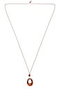 view 1 of 2 Cleo Cord Necklace in Tortoise & Multi