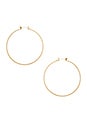 view 1 of 2 Robin Hoop Earrings in Gold