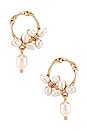 view 1 of 2 Pearl Drop Earrings in Gold