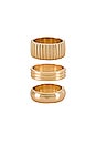 view 3 of 3 Goldie Ring Set in Gold