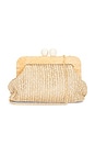 view 1 of 5 POCHETTE in Natural