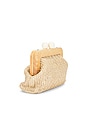 view 3 of 5 POCHETTE in Natural