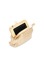 view 4 of 5 POCHETTE in Natural