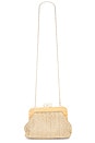 view 5 of 5 POCHETTE in Natural